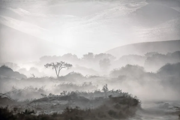 Tempesta di sabbia — Foto Stock