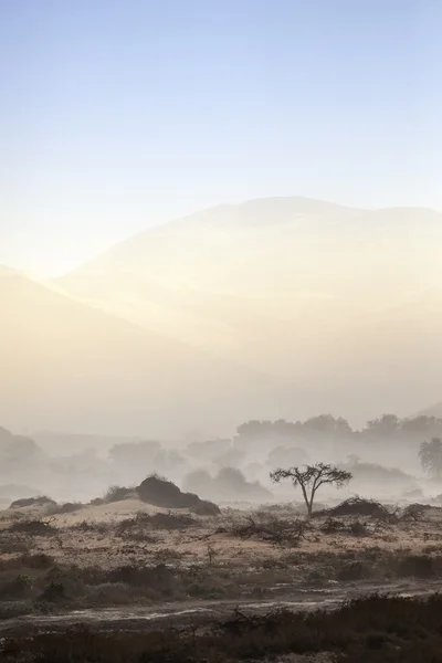 Tempesta di sabbia — Foto Stock