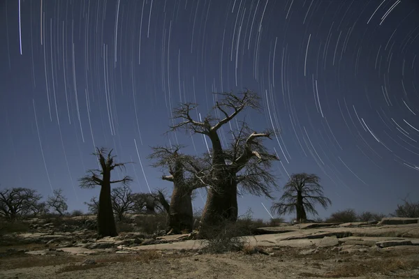 Kubu Startrails — Foto de Stock