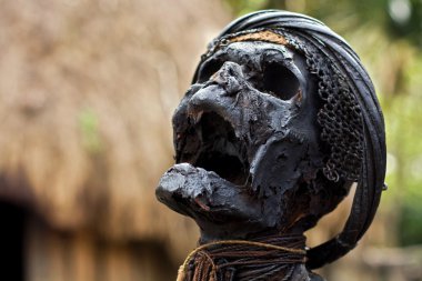 Mumya Baliem Valley