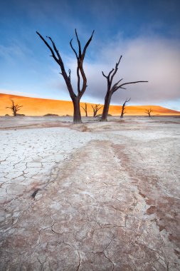 Deadvlei, Namib Naukluft Nationalpark