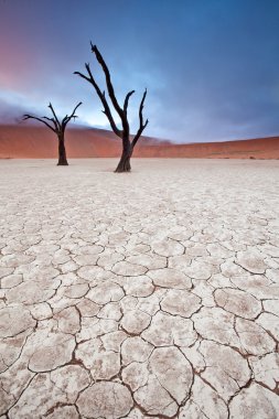 Yataydan Sossusvlei, Namibya