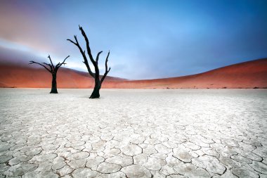 Landscape from Sossusvlei, Namibia clipart