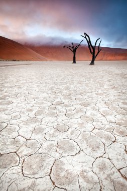 Yataydan Sossusvlei, Namibya