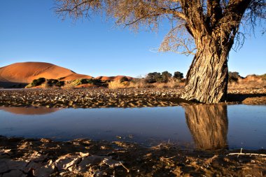 Yataydan Sossusvlei, Namibya