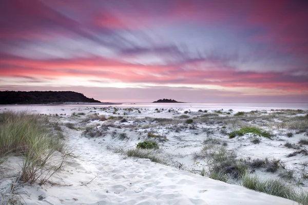 Spiaggia al mattino — Foto Stock