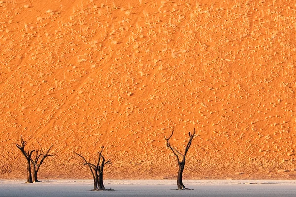 Krajina Sossusvlei — Stock fotografie