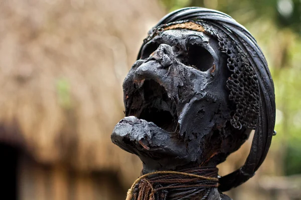 Mummy in the Baliem valley — Stock Photo, Image