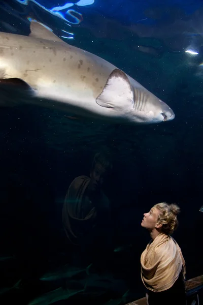 女人看在水族馆隧道 — 图库照片