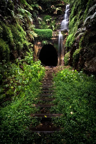 Old Hidden Tunnel — Stock Photo, Image