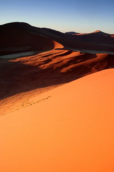 Červené písečné duny z Namibie — Stock fotografie