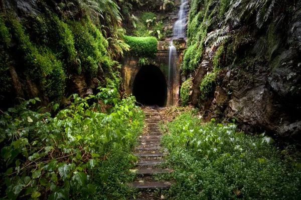 Старый скрытый тоннель — стоковое фото