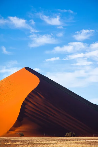 모래 언덕 곡선 — 스톡 사진