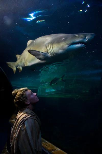 女人在水族馆隧道 — 图库照片