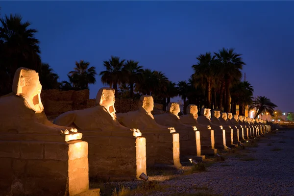 Row of Sphinx — Stock Photo, Image