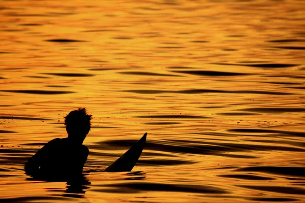 Surfer in water at sunset — Stock Photo, Image