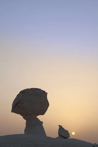 Λευκή έρημος στην Αίγυπτο ένα ηλιοβασίλεμα — Φωτογραφία Αρχείου