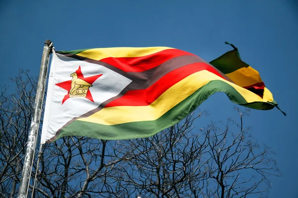 Zimbabwe Flag — Stock Photo, Image