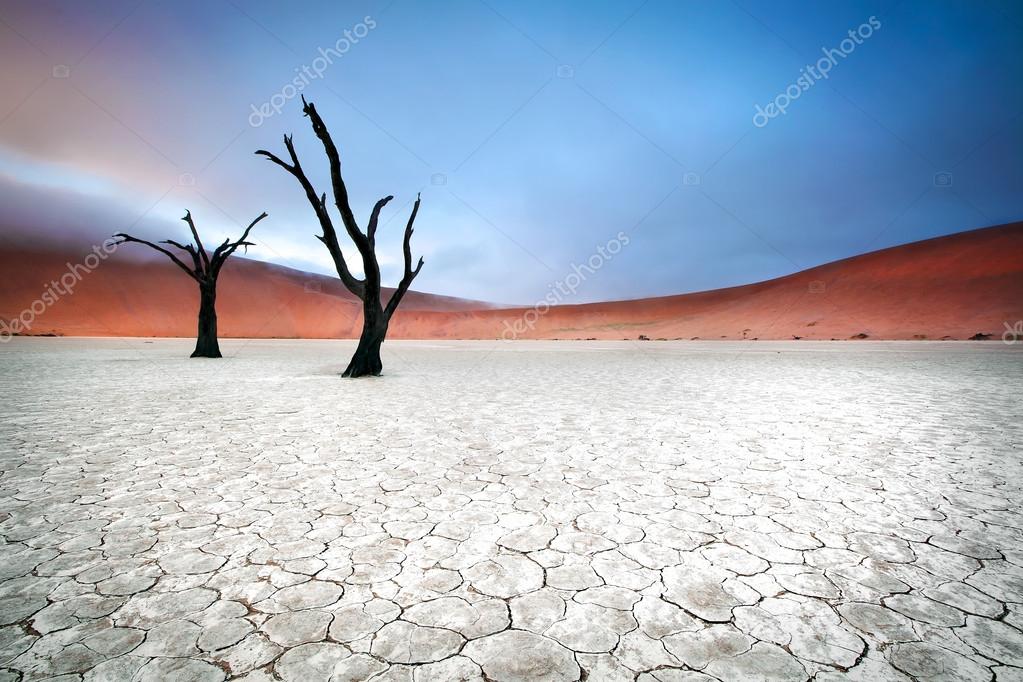 Landscape from Sossusvlei, Namibia