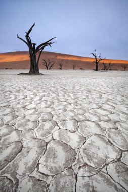 Yataydan Sossusvlei, Namibya