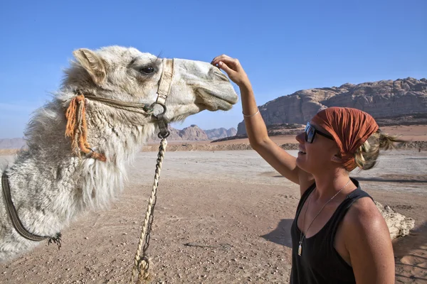 Camel and woman — Stock Photo, Image