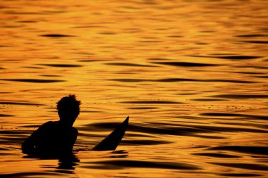 Sunset Surfer