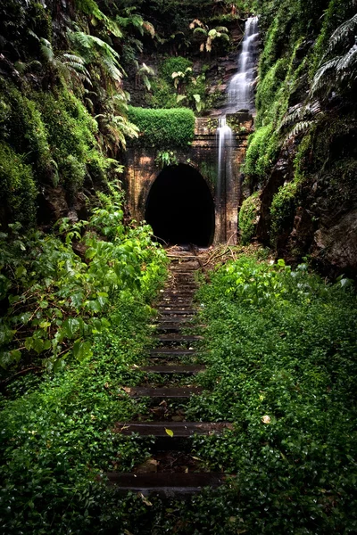 Tunnel du train de Burg — Photo