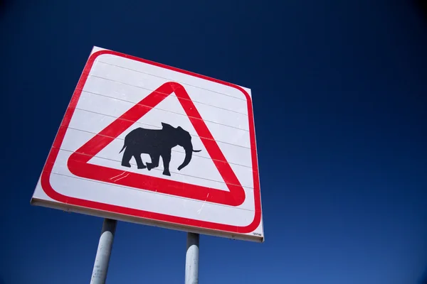 Caution elephants — Stock Photo, Image