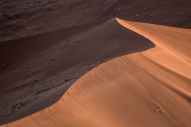 Namibya vahşi görme