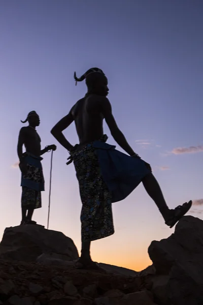 Sight of the Namibian Wilderness — Stock Photo, Image