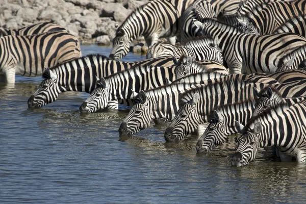 ナミビア大自然の光景 — ストック写真