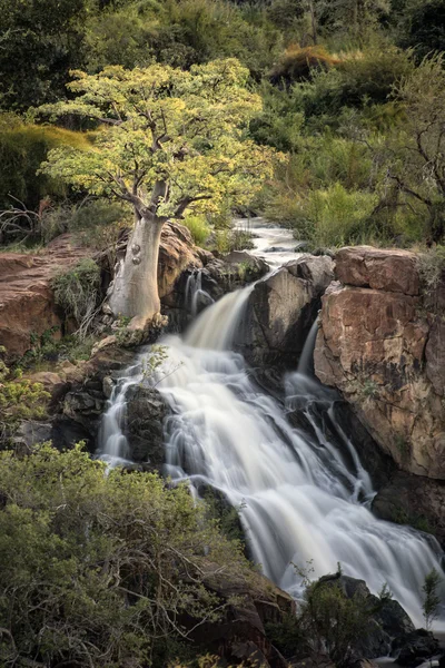 Pohled z Namibie divočiny — Stock fotografie