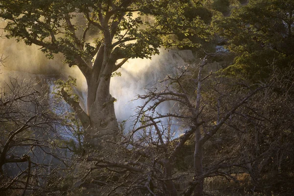 Sight of the Namibian Wilderness — Stock Photo, Image