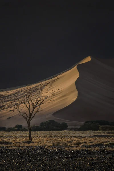 Vista del desierto de Namibia — Foto de Stock