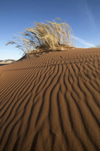 Pohled z Namibie divočiny — Stock fotografie