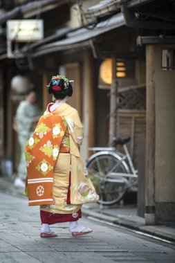geyşa, Japonya