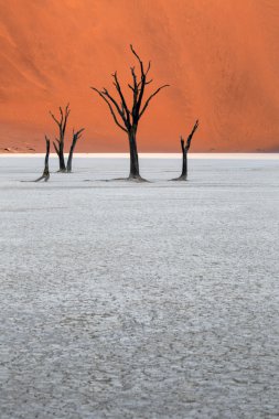 Deadvlei, Namibya