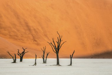 Deadvlei, Namibya