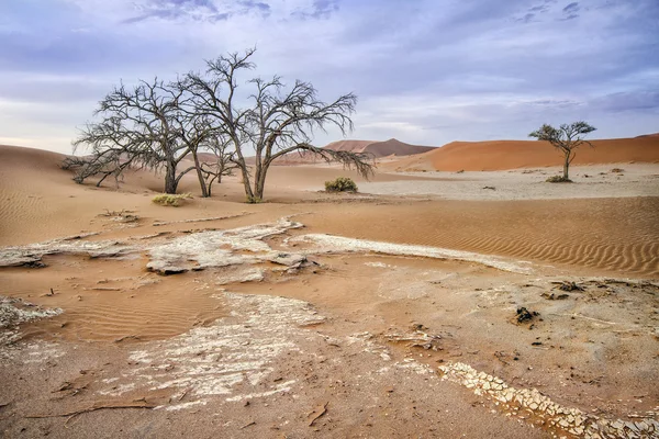 Deadvlei, นามิเบีย — ภาพถ่ายสต็อก