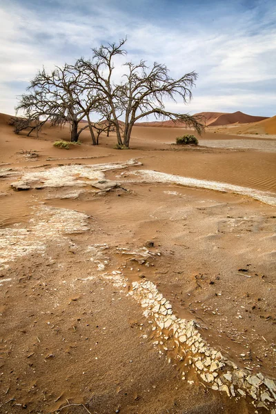 Deadvlei, Namibia — Foto de Stock