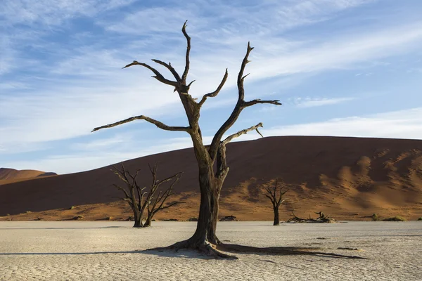 Deadvlei, Namíbia — Fotografia de Stock