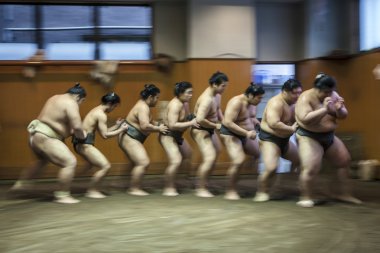 sumo güreşçisi