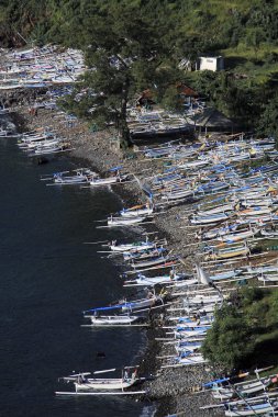 Amed Bali