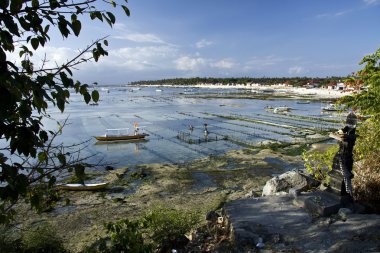 Bali, Endonezya