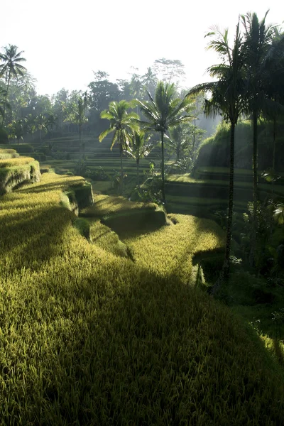 Amed, Bali. — Fotografia de Stock