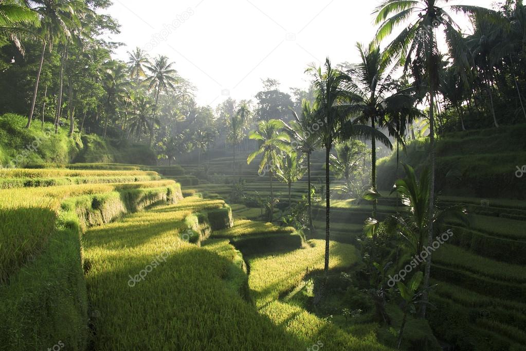 Amed, Bali