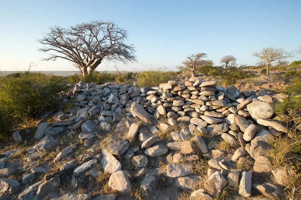 Kubu Island, Botswana — Stockfoto