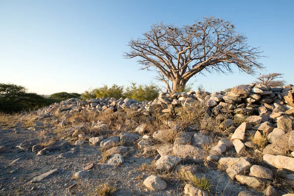 Isola di Kubu, Botswana — Foto Stock
