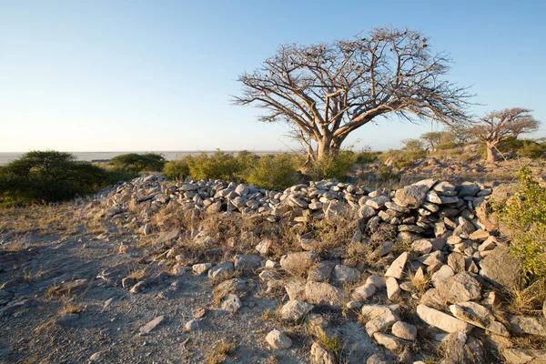 Kubu Island, Botswana — Stockfoto