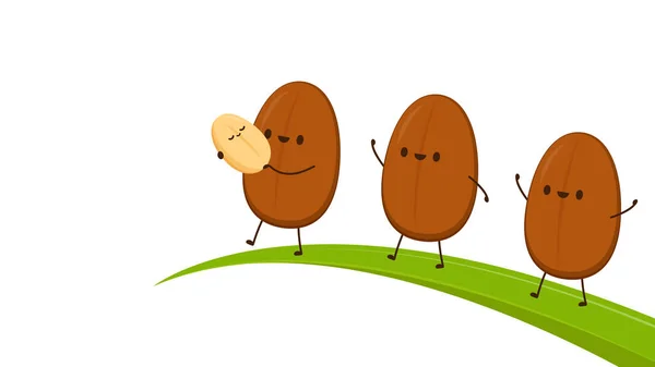 Kahve çekirdeği karakter tasarımı. Kahve tohumu vektörü. Duvar Kağıdı.